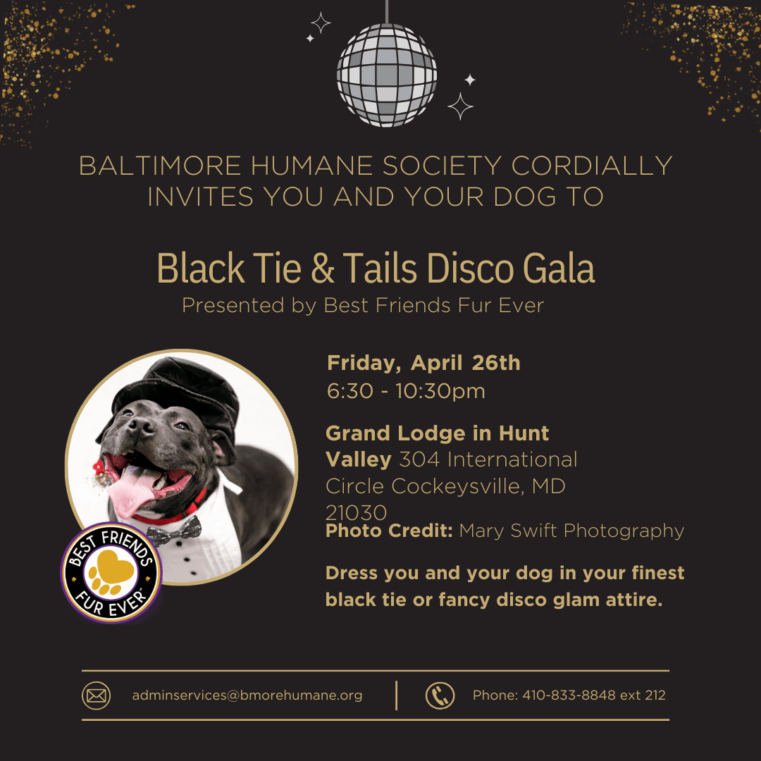Black Tie and Tails a Maryland Pet Gazette sponsor