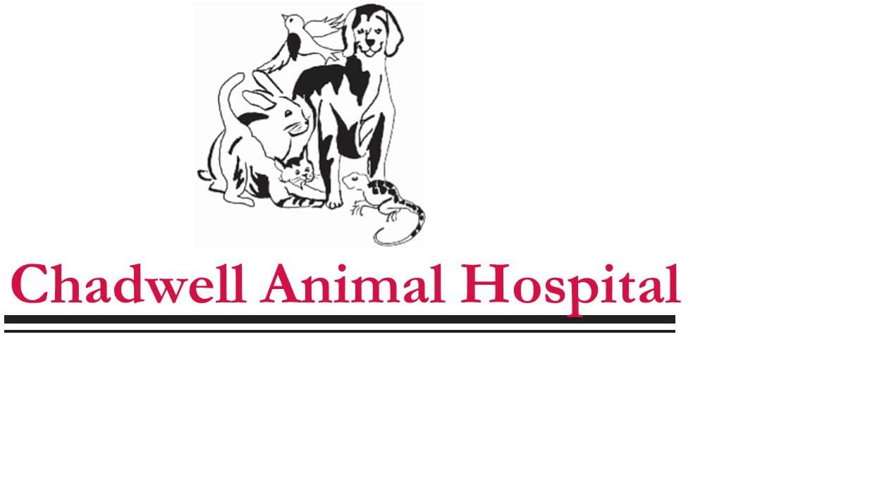 Chadwell Animal Hospital