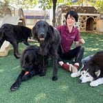 Noah's Ark Veterinary & Boarding Resort a Maryland Pet Gazette sponsor