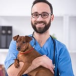 Vet holding dog