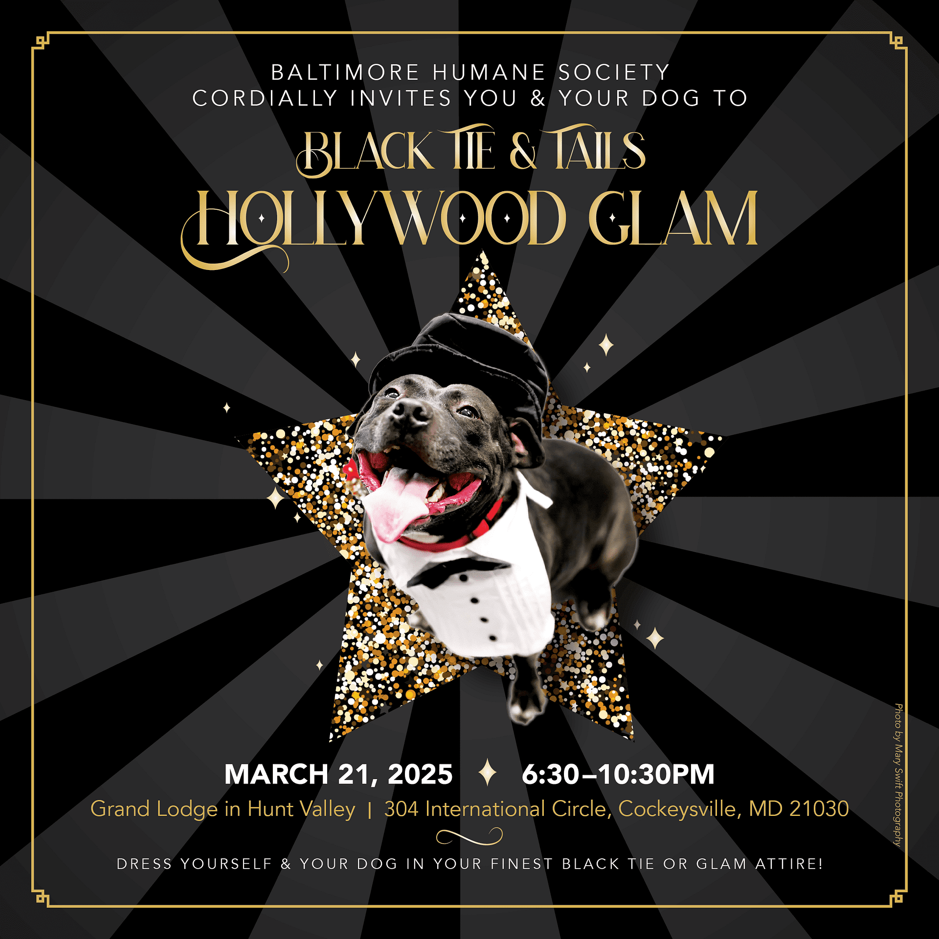 Black Tie & Tails promoted by Maryland Pet Gazette