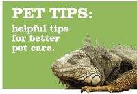pet-tips Pet Tips