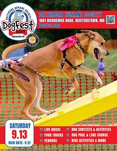 Dogfest 2025 Dogfest promoted by Maryland Pet Gazette