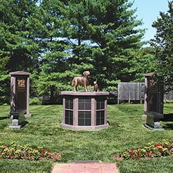 Pet Sanctuary Garden