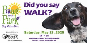 Paws in the Park Promoted by Maryland Pet Gazette