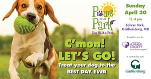 MCHS Paws In The Park a Maryland Pet Gazette Sponsor