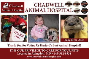 Chadwell Animal Hospital a Maryland Pet Gazette Sponsor