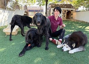 Noah's Ark Veterinary & Boarding Resort a Maryland Pet Gazette sponsor