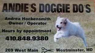 Andie’s Doggie Dos Grooming