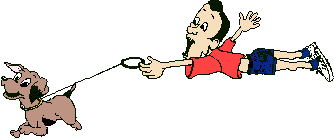 No Problem Dog Training