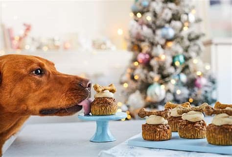 How to Keep Your Dog Calm Around Guests During the Holidays