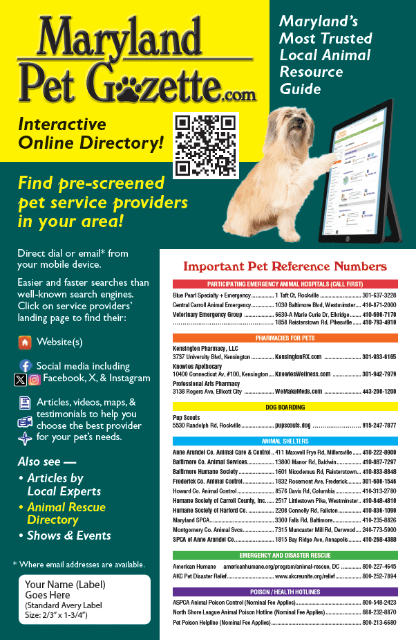 2024-12-02 11_18_21-CompatWindow PDF Guide