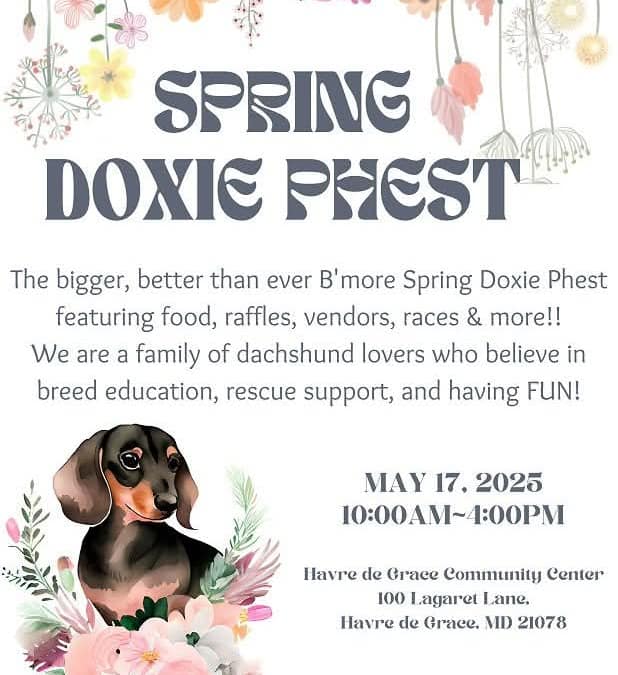 Spring Doxie Phest