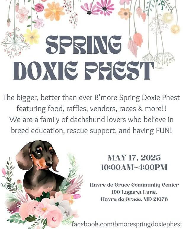 Spring Doxie Phest promoted by Maryland Pet Gazette