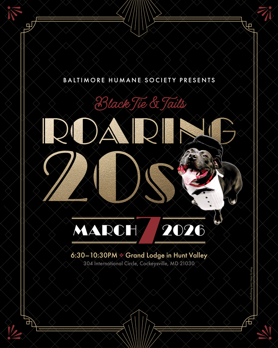 Black Tie and Tails promoted by Maryland Pet Gazette