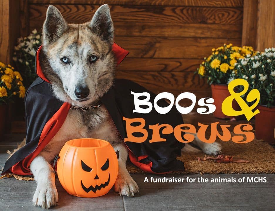 Boos and Brews promoted by Maryland Pet Gazette