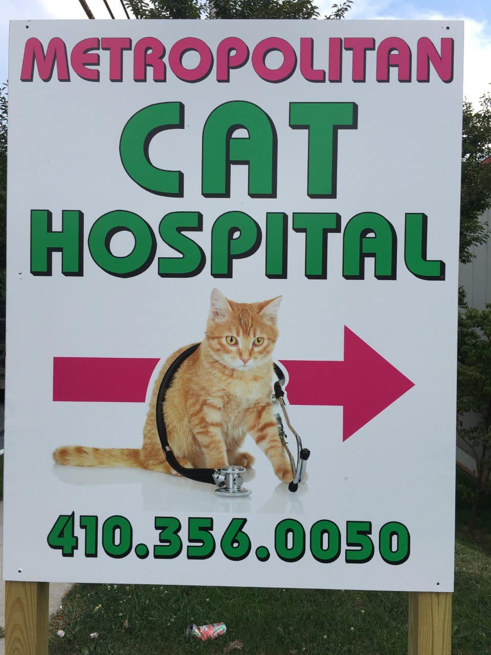 Metropolitan Cat Hospital