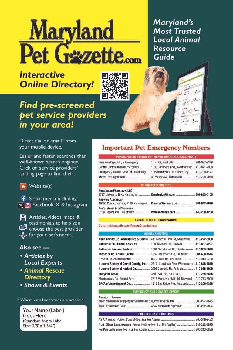 MPG Infocard- 2024- Final PDF Guide